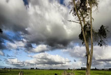 雷竞技-关于杜兰特在阿森纳比赛中爆冷，比赛局势复杂引发热议！赢得满堂喝彩的信息